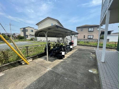 8/19 その他画像