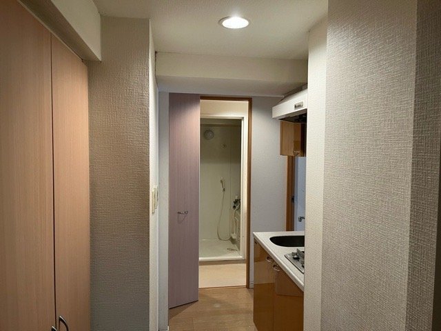 19/26 その他画像