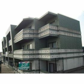 11/11 その他画像