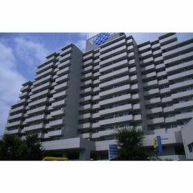 5/13 その他画像