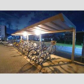 11/15 その他画像