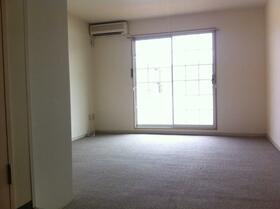 13/13 その他画像