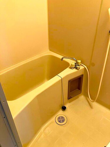 5/11 その他画像