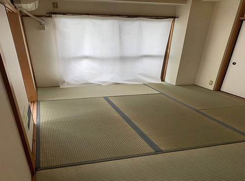 8/11 その他画像