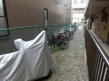 5/11 その他画像