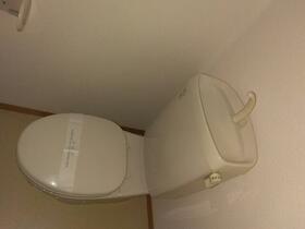 13/13 その他画像