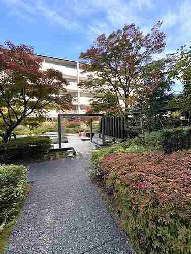 5/11 その他画像