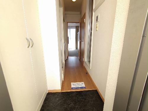 8/19 その他画像