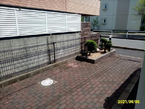 11/14 その他画像