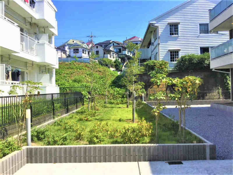 21/26 その他画像