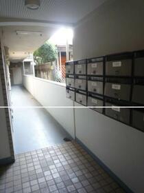 13/13 その他画像