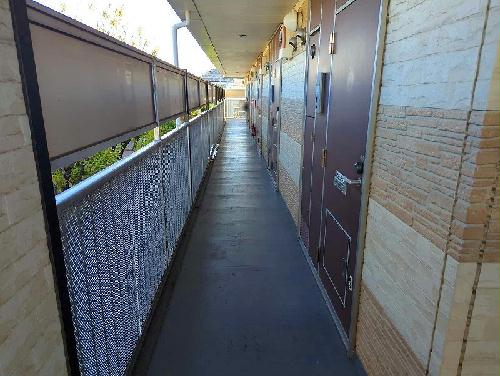 8/14 その他画像