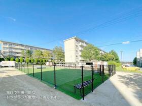 15/17 その他画像