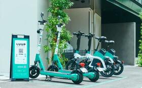 13/13 その他画像