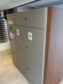 11/11 その他画像