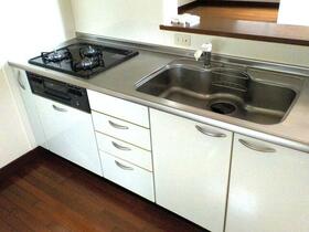 5/16 その他画像