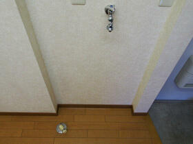 11/11 その他画像