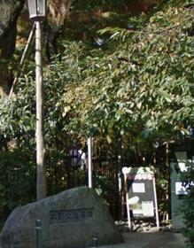 17/17 その他画像