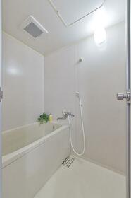 6/15 その他画像