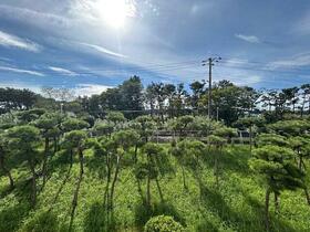 16/16 その他画像