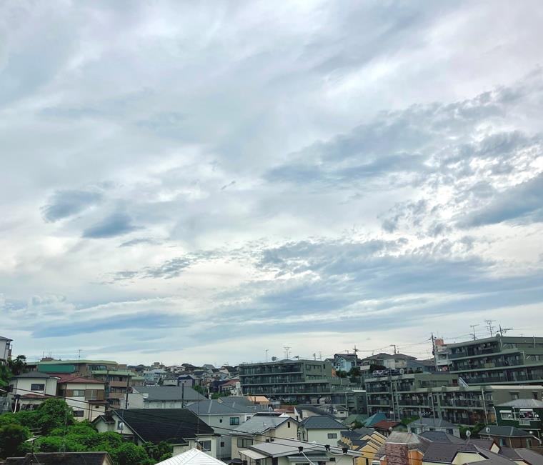 15/19 その他画像