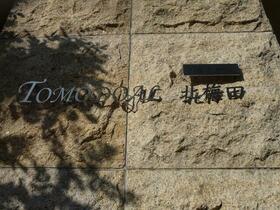 14/16 その他画像