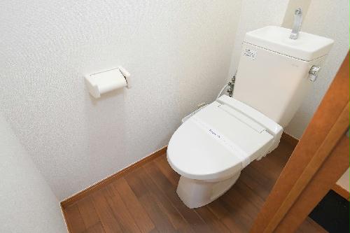 8/14 その他画像