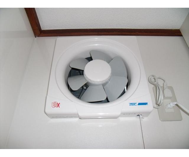 29/29 その他画像