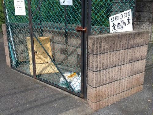 11/16 その他画像