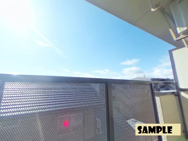 17/29 その他画像