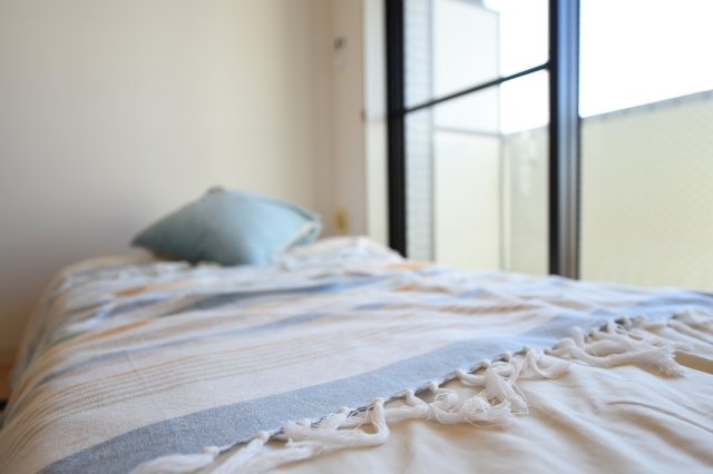 17/29 その他画像