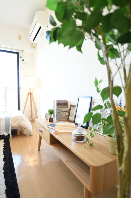 20/29 その他画像