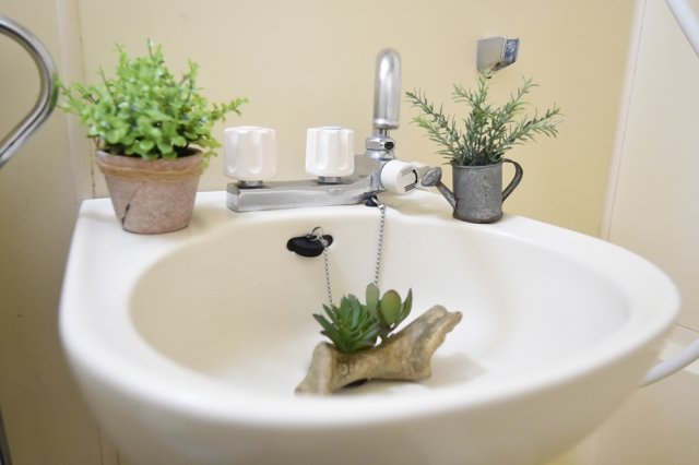 24/29 その他画像