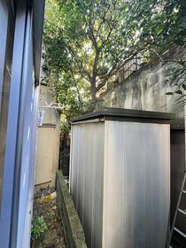 5/16 その他画像