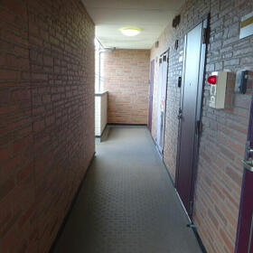 5/11 その他画像