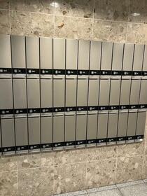 5/16 その他画像