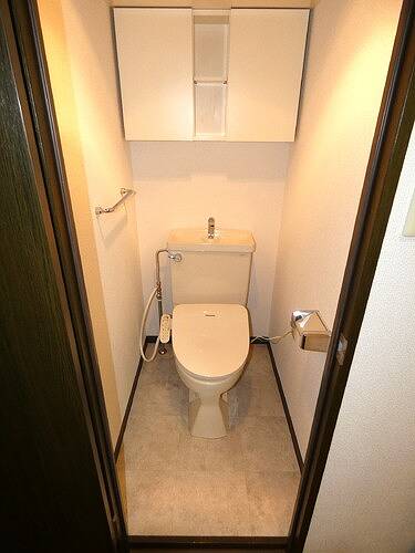 6/11 その他画像