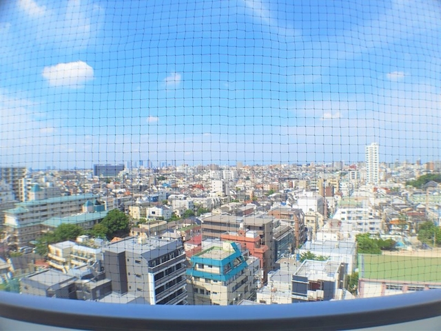 16/25 その他画像