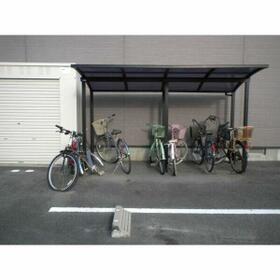 8/11 その他画像