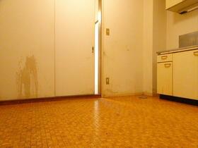 13/14 その他画像