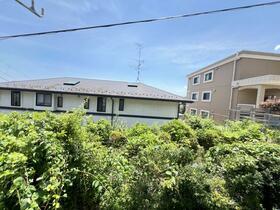 11/11 その他画像