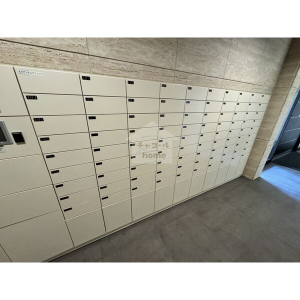 5/11 その他画像