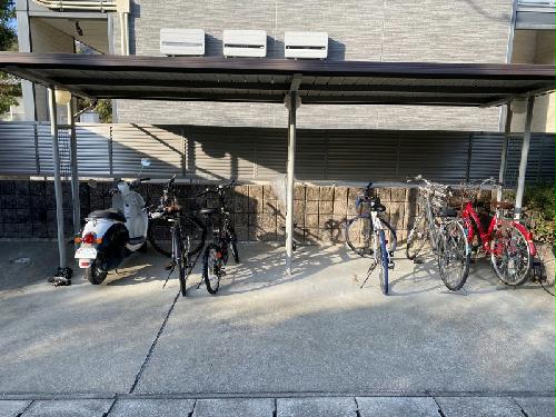 11/24 その他画像