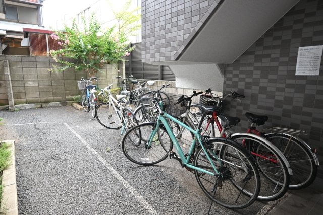 3/15 その他画像