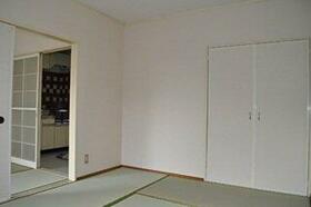 13/13 その他画像