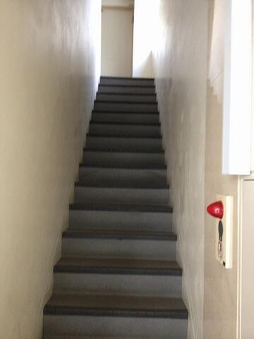 13/29 その他画像