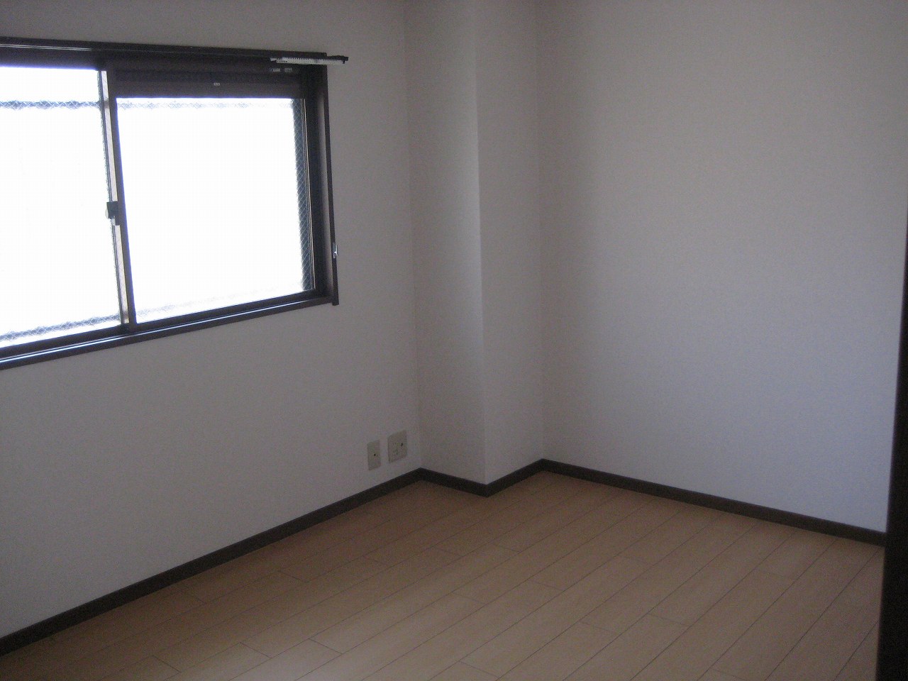 8/14 その他画像