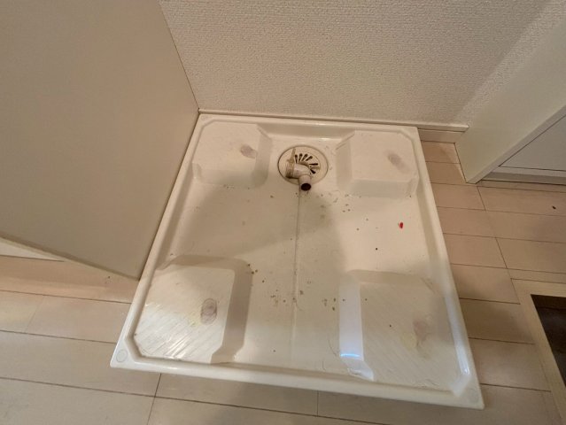 14/15 その他画像