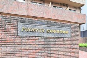 6/11 その他画像