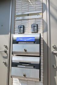 13/16 その他画像